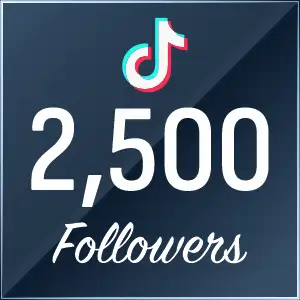 2500 TikTok Followers
