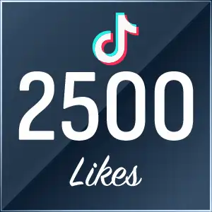 2500 TikTok Likes