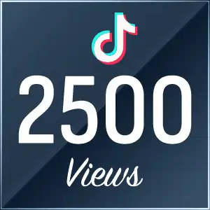2500 TikTok Views
