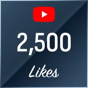 2500 Youtube Likes